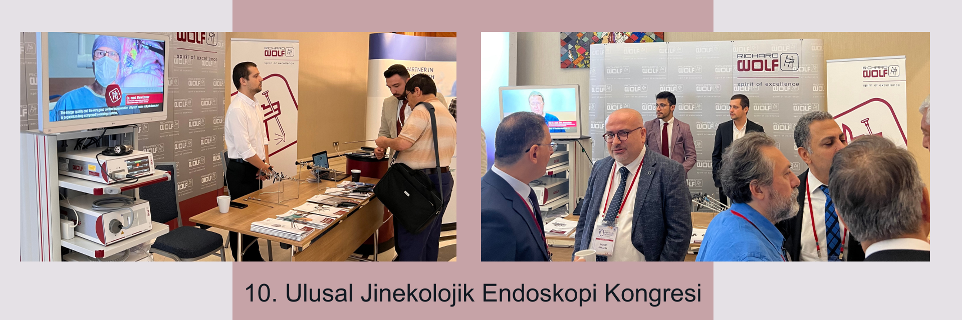 10. Ulusal Jinekolojik Endoskopi Kongresi