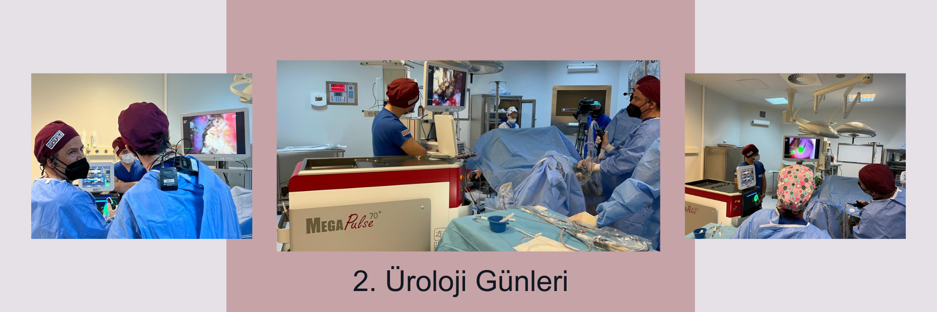 2. �roloji G�nleri